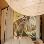 Veluwepark De Bosgraaf - Glamping Camping *