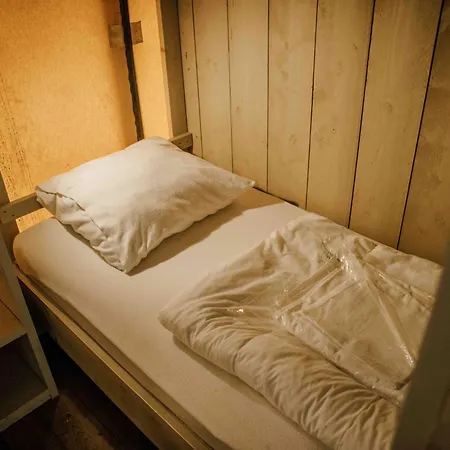 Veluwepark De Bosgraaf | Glamping Kemp Lieren