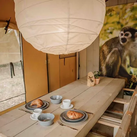 Veluwepark De Bosgraaf | Glamping Kemp