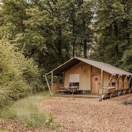 Veluwepark De Bosgraaf | Glamping Kemp Lieren