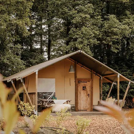 Veluwepark De Bosgraaf | Glamping Campeggio Lieren