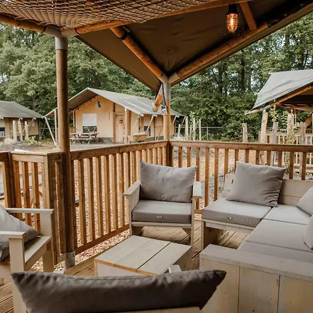 Veluwepark De Bosgraaf - Glamping Kemp