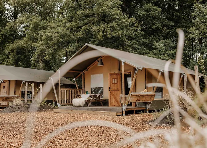 Veluwepark De Bosgraaf | Glamping *