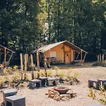 营地 Veluwepark De Bosgraaf - Glamping