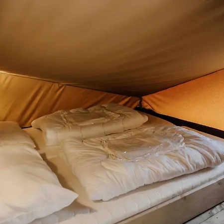 Veluwepark De Bosgraaf | Glamping *