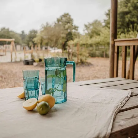 אתר קמפינג Veluwepark De Bosgraaf | Glamping Lieren