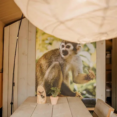 Veluwepark De Bosgraaf - Glamping Kamp alanı *