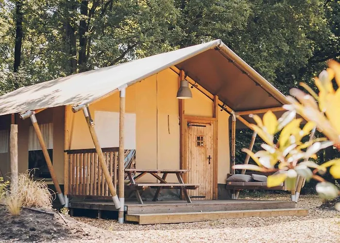Veluwepark De Bosgraaf | Glamping * Lieren